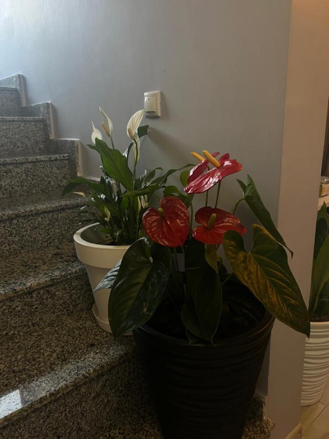 Villa Residence ควาเรียที ภายนอก รูปภาพ